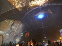 ZUR le boulon-109036